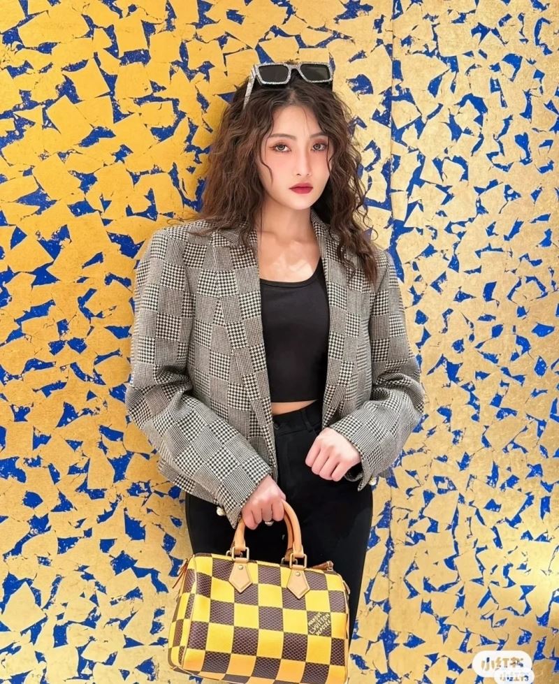 Louis Vuitton Speedy Bags